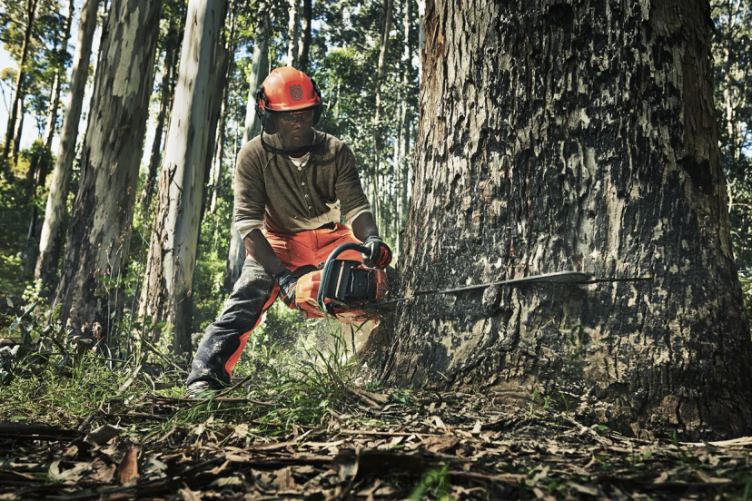 Husqvarna 390 xp 0D604894 työkaluja
