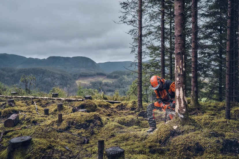 Husqvarna 540 xp mark iii 0D604878 työkaluja